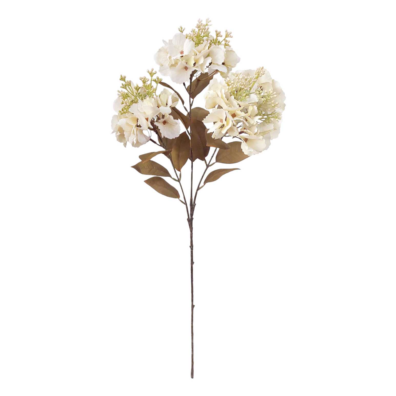 Alison's Acquisitions Budding Fall Hydrangea - Antique Ivory